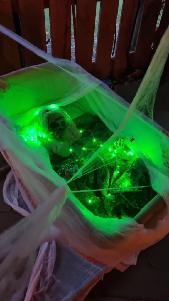 WhatsApp Image 2025 12 17 at 10.43.27 1